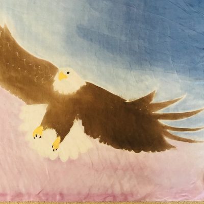 Soaring eagle